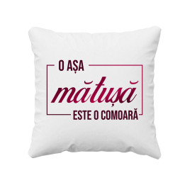 O așa mătușă este o comoară - pernă