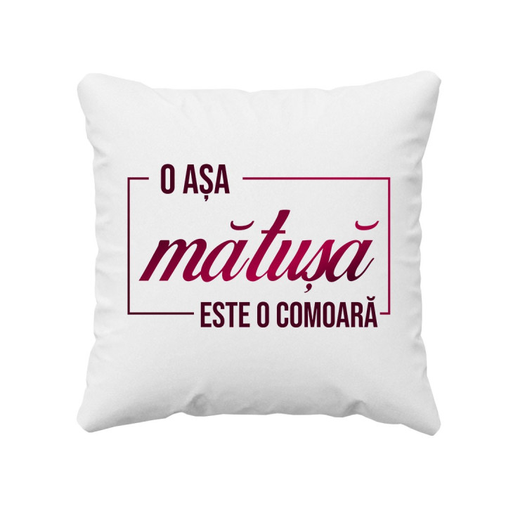 O așa mătușă este o comoară - pernă