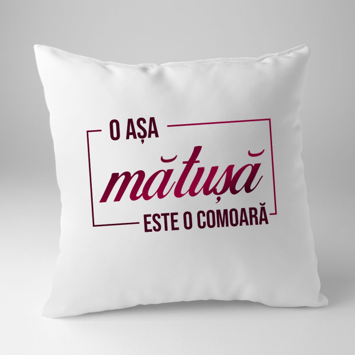 O așa mătușă este o comoară - pernă