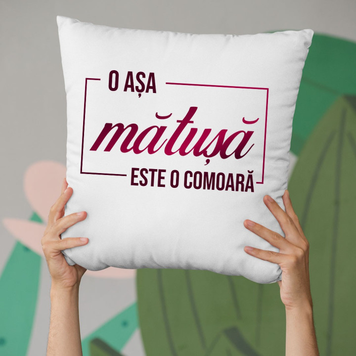 O așa mătușă este o comoară - pernă