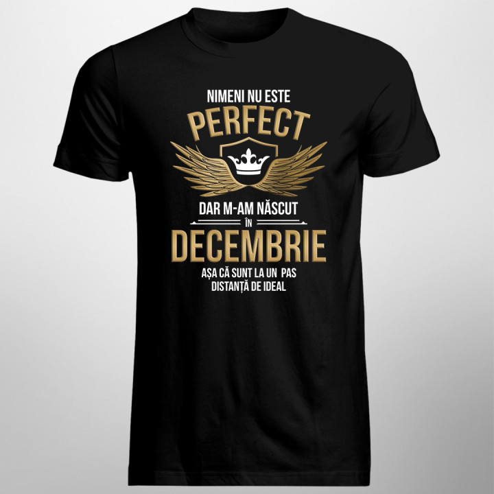 Nimeni nu este perfect, dar m-am născut în decembrie - T-shirt pentru bărbați