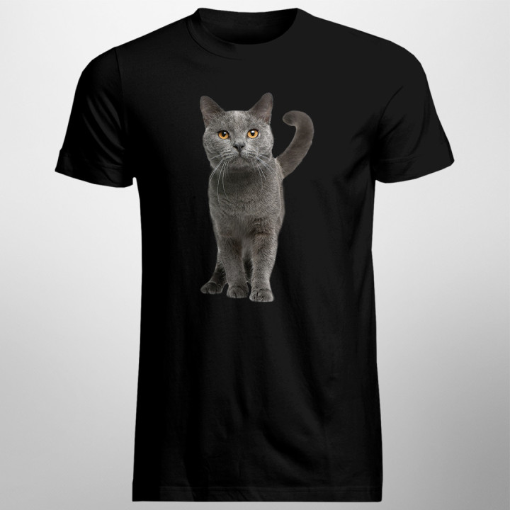 Pisica britanică - T-shirt pentru bărbați