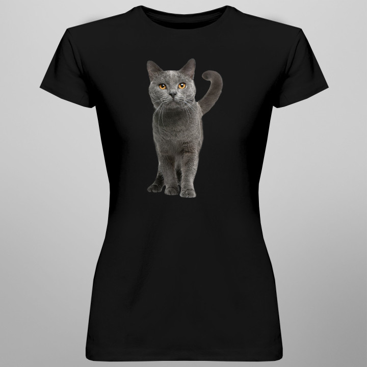 Pisica britanică - T-shirt pentru femei