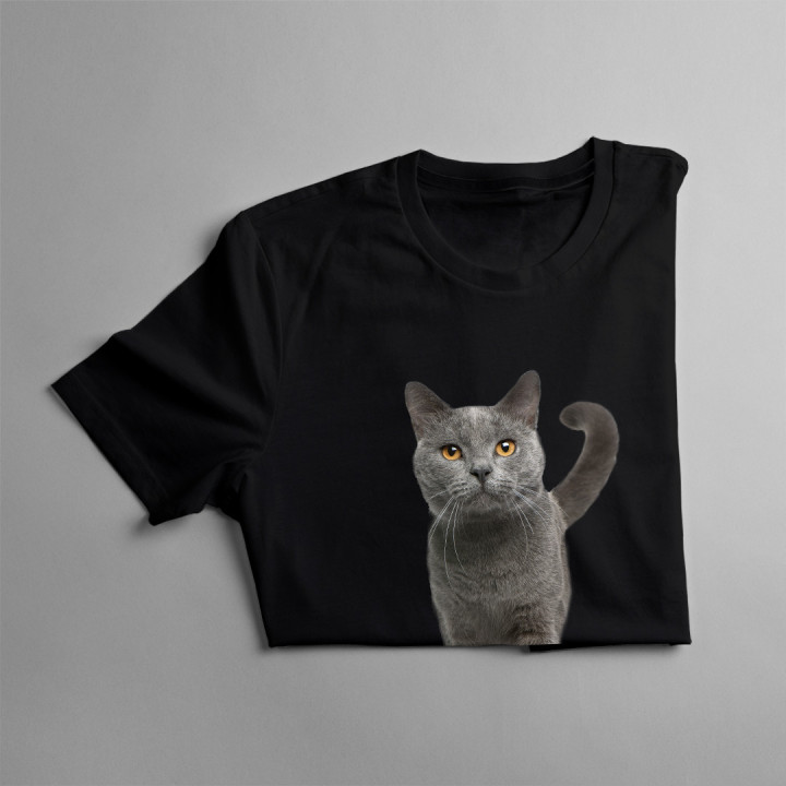 Pisica britanică - T-shirt pentru femei
