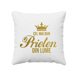 Cel mai bun prieten din lume - pernă