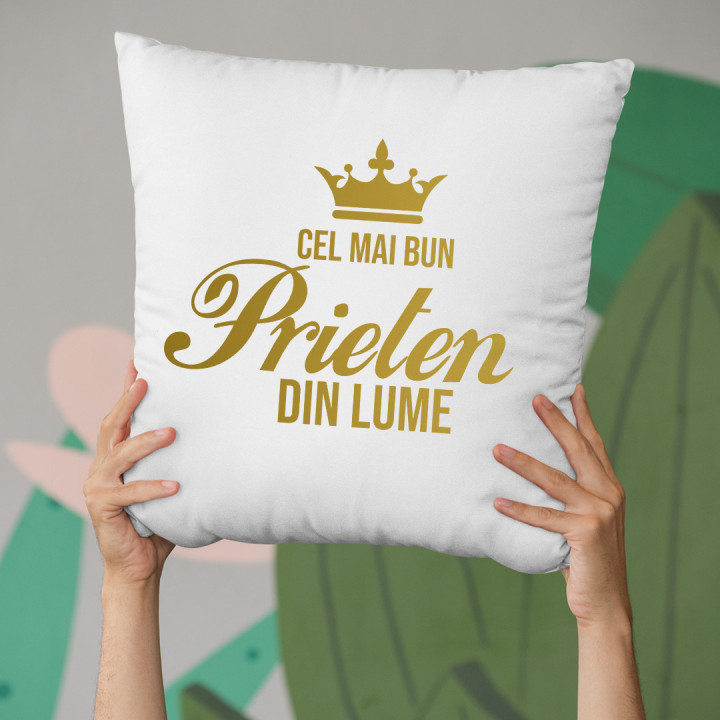 Cel mai bun prieten din lume - pernă