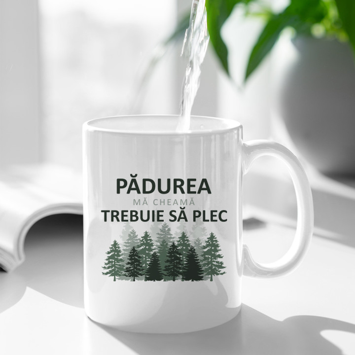 Contabila rezolvă probleme - cană