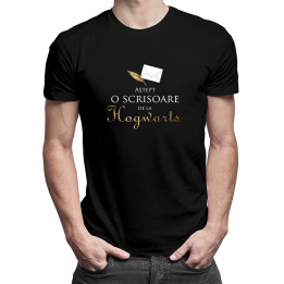 Aștept o scrisoare de la Hogwarts -  tricou pentru bărbați cu imprimeu