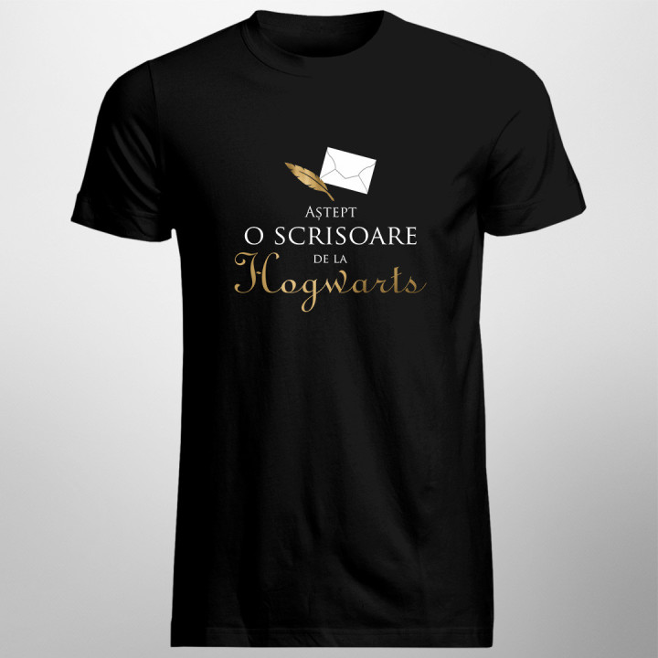 Aștept o scrisoare de la Hogwarts -  tricou pentru bărbați cu imprimeu