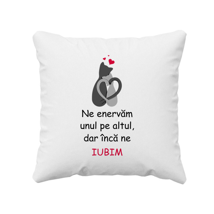 Ne enervăm unul pe altul, dar încă ne iubim - pernă