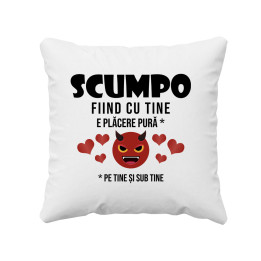 Îţi mulţumesc, că eşti comoara mea - pernă