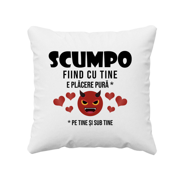 Îţi mulţumesc, că eşti comoara mea - pernă