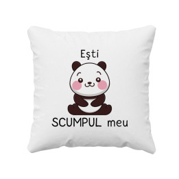 Eşti scumpul meu - pernă