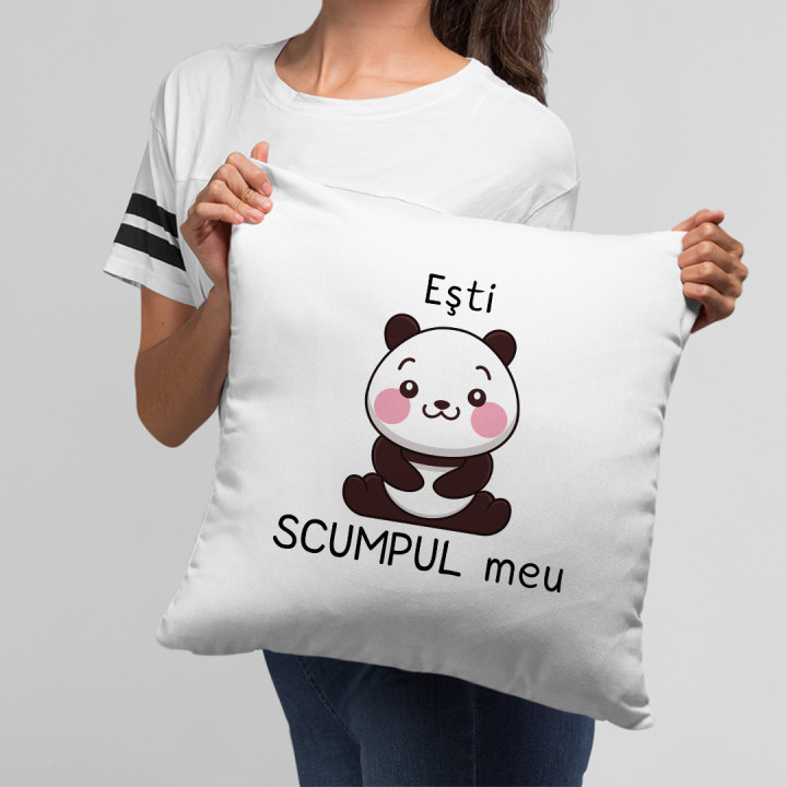 Eşti scumpul meu - pernă