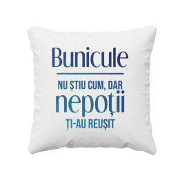 Bunicule, nu știu cum, dar nepoții ți-au reușit  - pernă