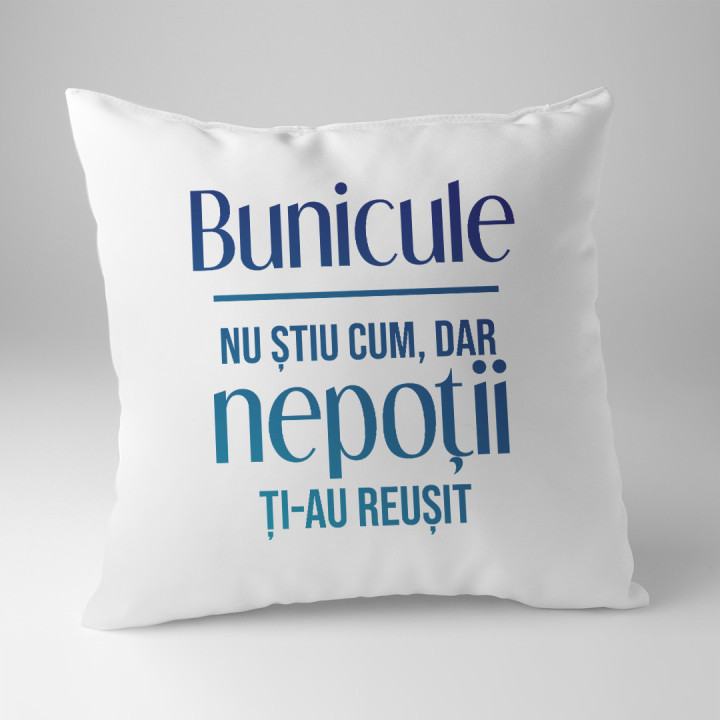 Bunicule, nu știu cum, dar nepoții ți-au reușit  - pernă