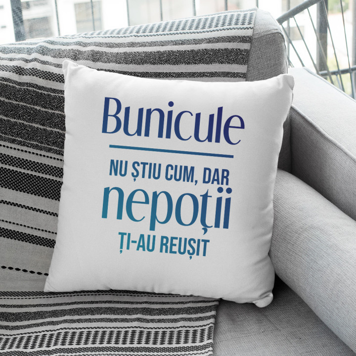 Bunicule, nu știu cum, dar nepoții ți-au reușit  - pernă