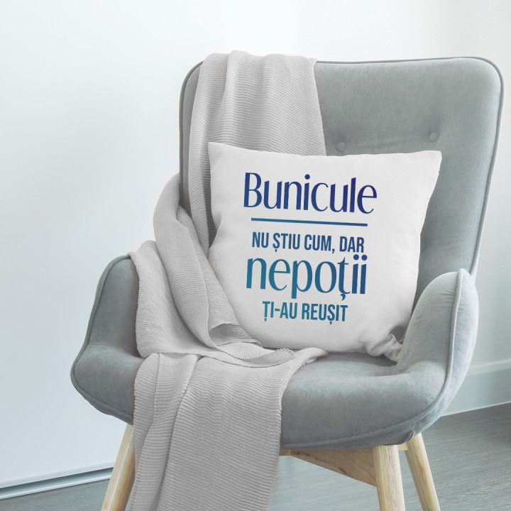 Bunicule, nu știu cum, dar nepoții ți-au reușit  - pernă