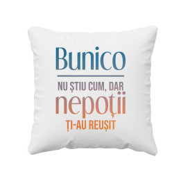 Bunicule, nu știu cum, dar nepoții ți-au reușit  - pernă