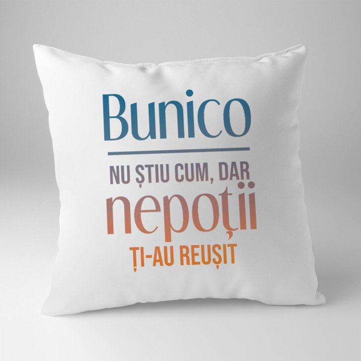 Bunicule, nu știu cum, dar nepoții ți-au reușit  - pernă