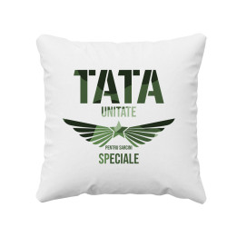 Tata, unitate pentru sarcini speciale - pernă