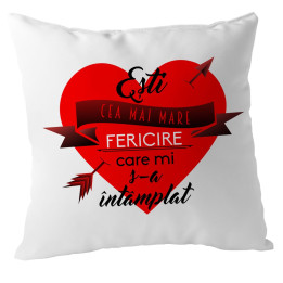 Cea mai mare fericire - pernă