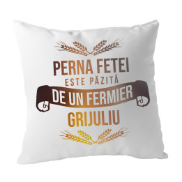 Toate poveștile de dragoste sunt frumoase - pernă