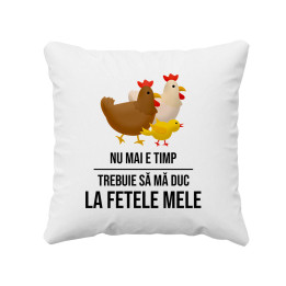 Nu mai e timp, trebuie să mă duc la fetele mele (GĂINI) - pernă