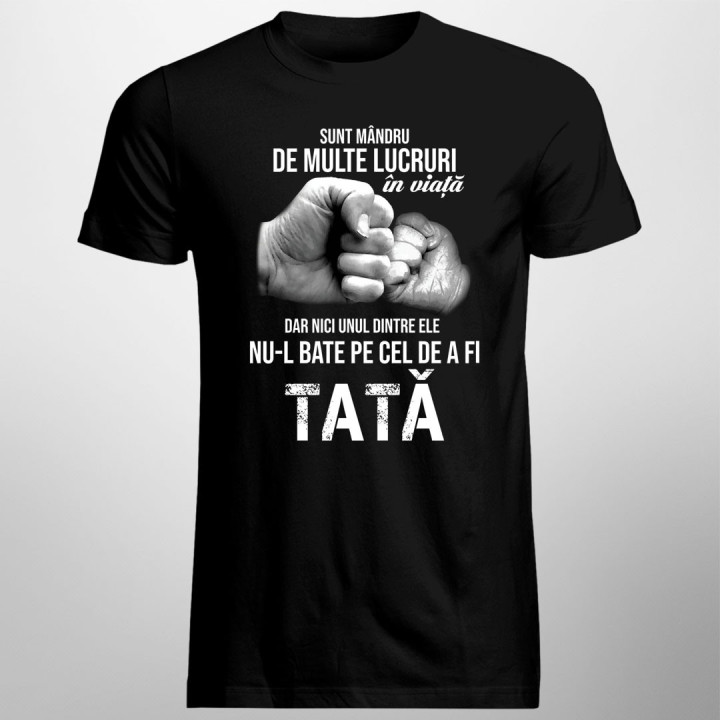 Sunt mândru de multe lucruri în viață 