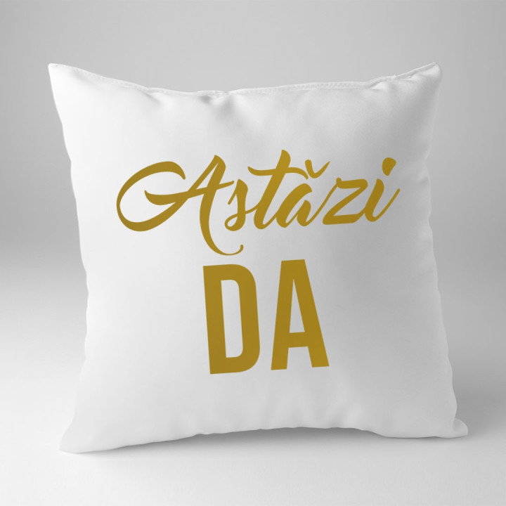 Fac ce vreau când și unde vreau - pernă