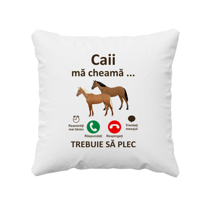 Caii mă cheamă, trebuie să plec - pernă