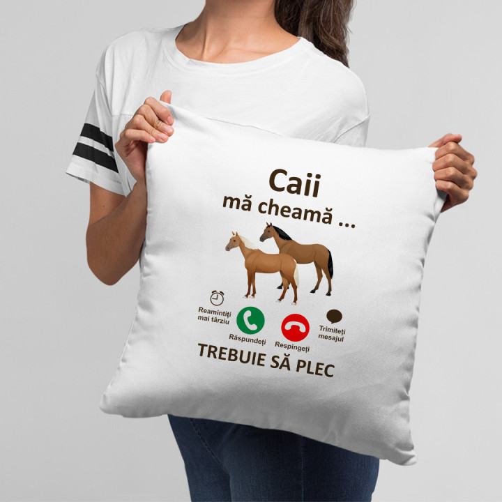 Caii mă cheamă, trebuie să plec - pernă
