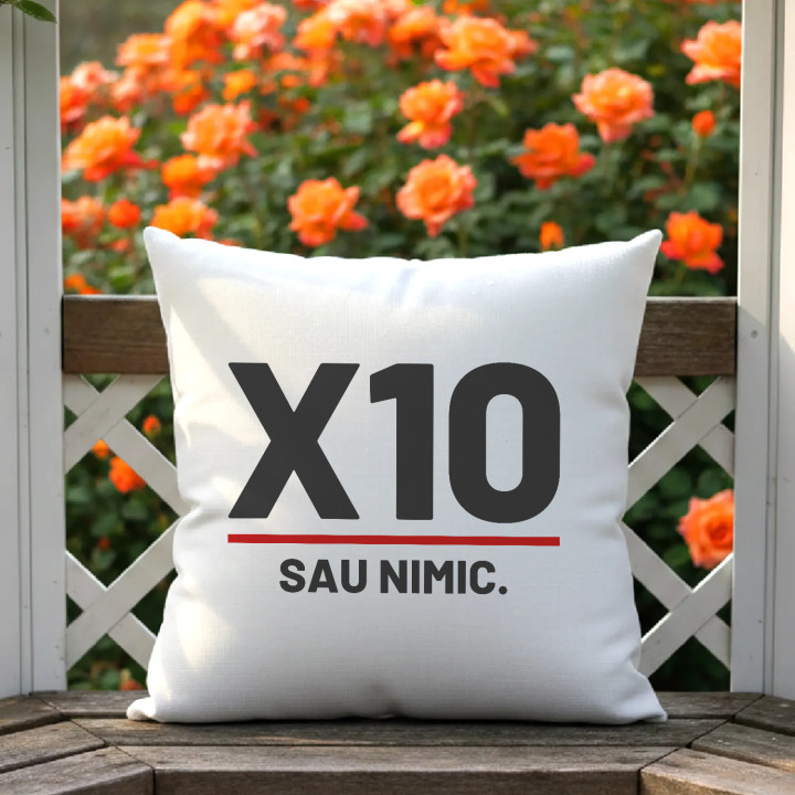 X10 sau nimic - pernă pentru pasionații de tir
