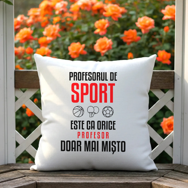 Profesorul de sport este ca orice profesor, doar mai mișto - pernă pentru profesor