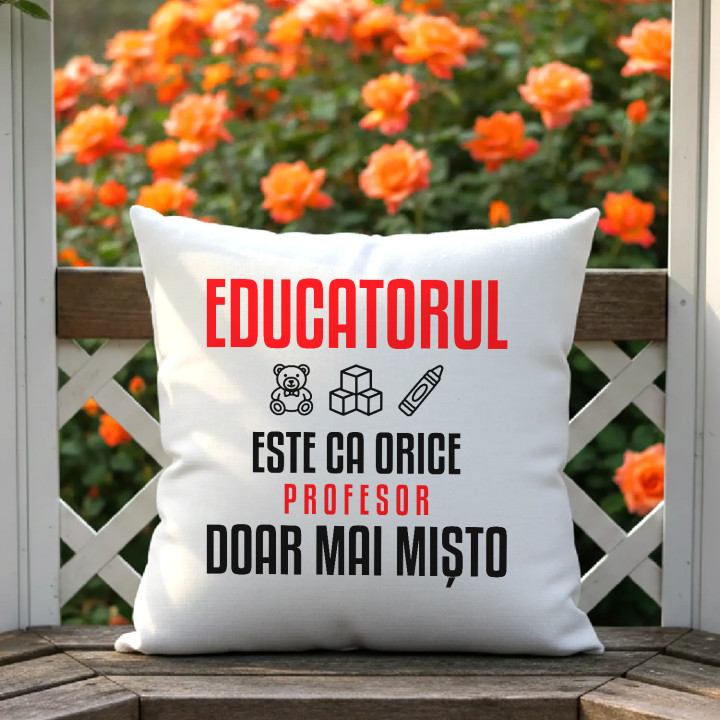 Educatorul este ca orice profesor, doar mai mișto - pernă pentru profesor