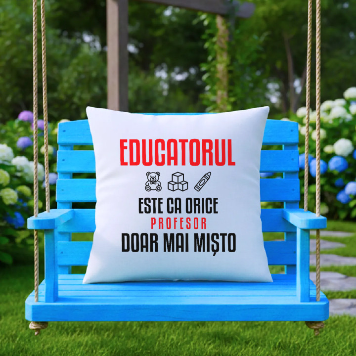 Educatorul este ca orice profesor, doar mai mișto - pernă pentru profesor