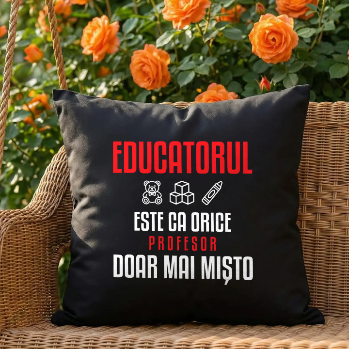 Educatorul este ca orice profesor, doar mai mișto - pernă neagră pentru profesor