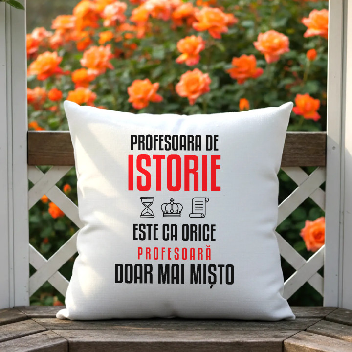 Profesoara de istorie este ca orice profesoară, doar mai mișto - pernă pentru profesoară