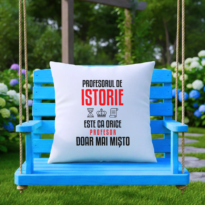 Profesorul de istorie este ca orice profesor, doar mai mișto - pernă pentru profesor