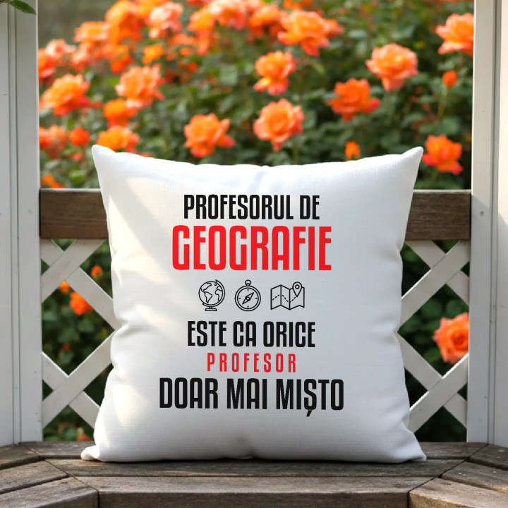 Profesorul de geografie este ca orice profesor, doar mai mișto - pernă pentru profesor