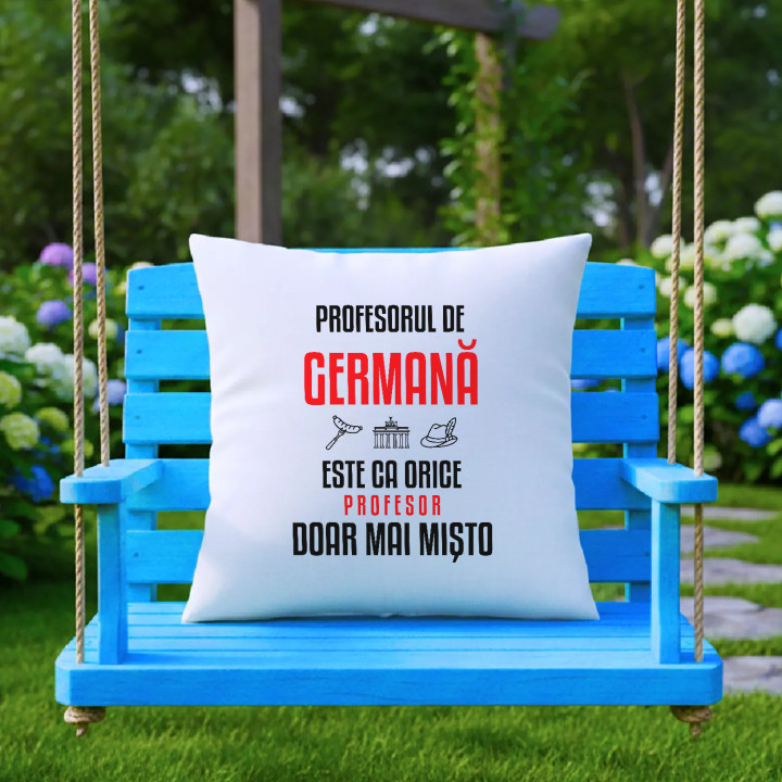 Profesorul de germană este ca orice profesor, doar mai mișto - pernă pentru profesor