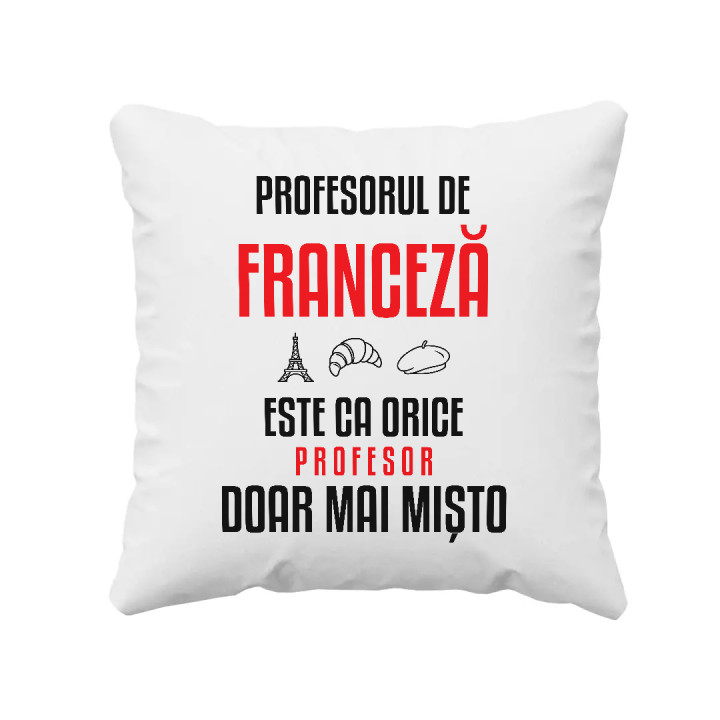 Profesorul de franceză este ca orice profesor, doar mai mișto - pernă pentru profesor