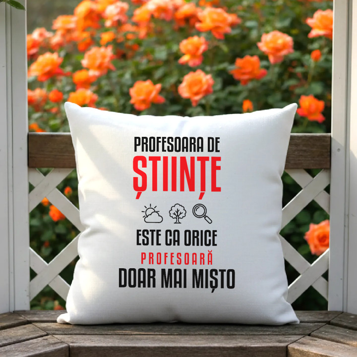 Profesoara de științe este ca orice profesoară, doar mai mișto - pernă pentru profesoară