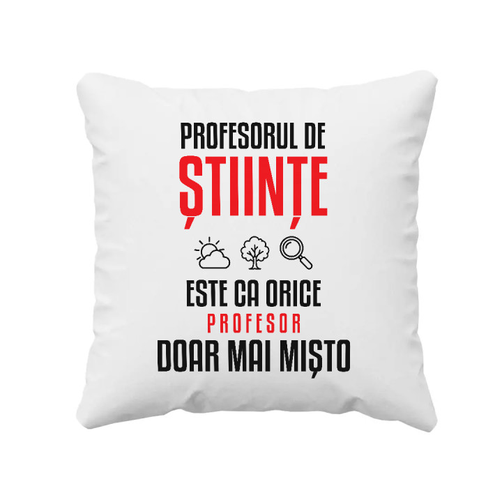 Profesorul de științe este ca orice profesor, doar mai mișto - pernă pentru profesor