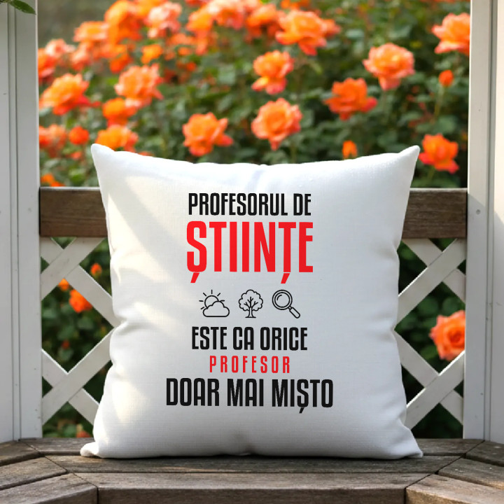 Profesorul de științe este ca orice profesor, doar mai mișto - pernă pentru profesor