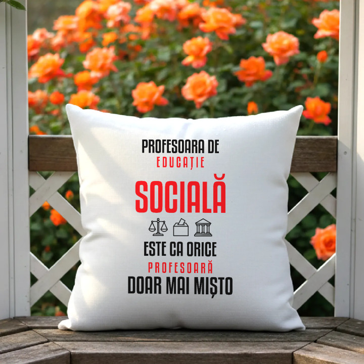 Profesoara de educație socială este ca orice profesoară, doar mai mișto - pernă pentru profesoară