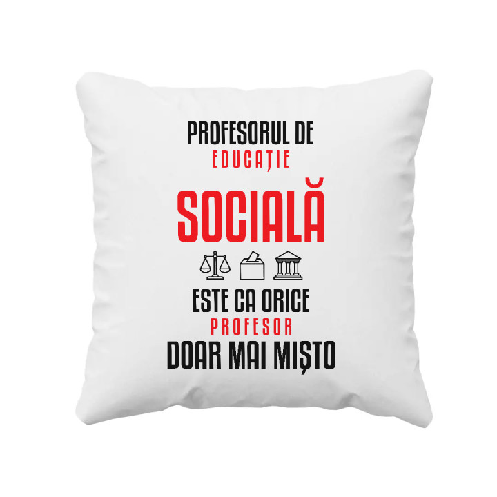 Profesorul de educație socială este ca orice profesor, doar mai mișto - pernă pentru profesor