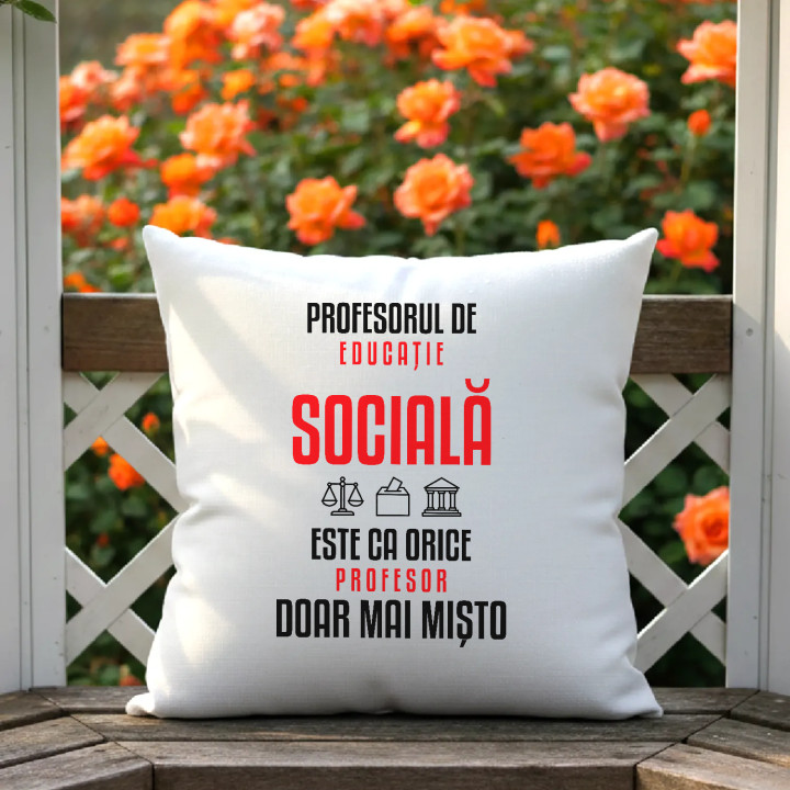 Profesorul de educație socială este ca orice profesor, doar mai mișto - pernă pentru profesor