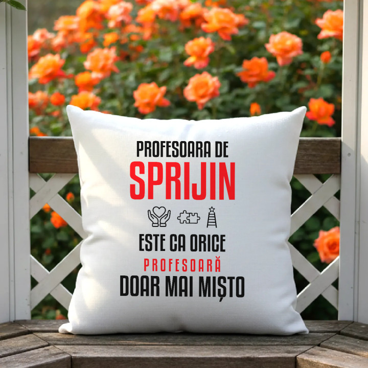 Profesoara de sprijin este ca orice profesoară, doar mai mișto - pernă pentru profesoară