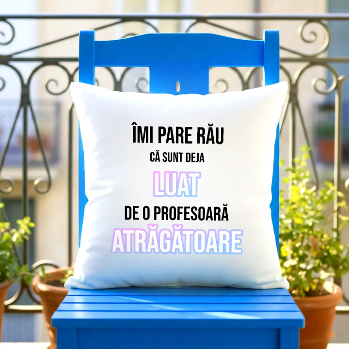 Îmi pare rău că sunt deja luat de o profesoară atrăgătoare - pernă